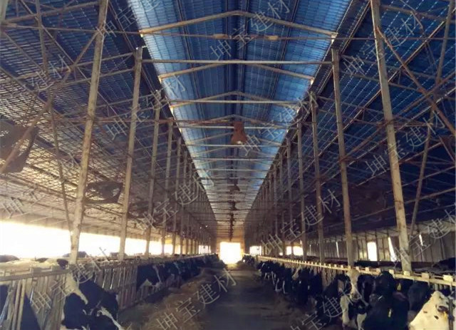 养殖场用秸秆瓦,防腐耐候更耐用!