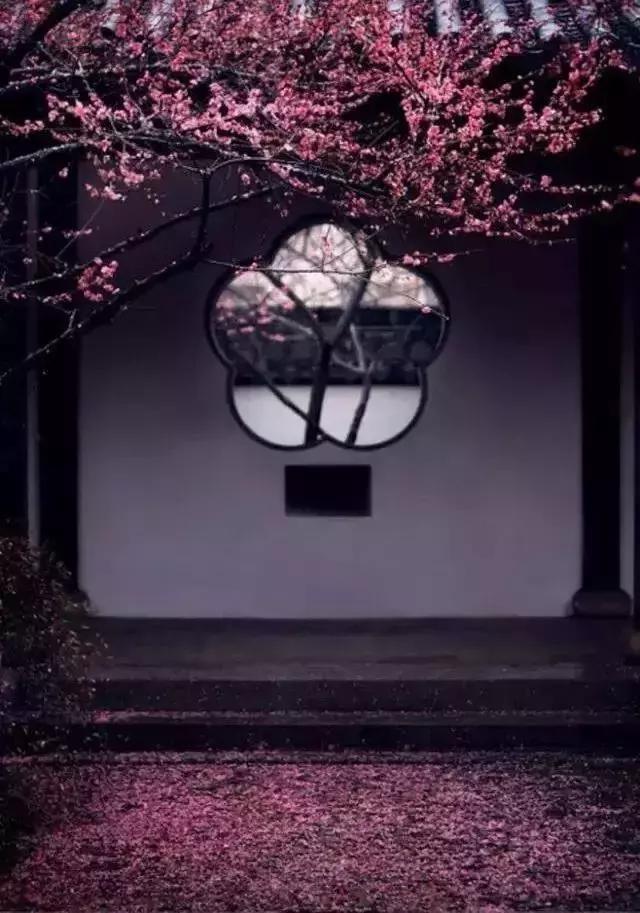 这样的院子,只有中国人驾驭得了它!