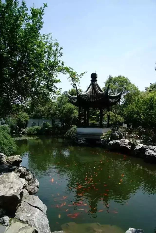 这样的院子,只有中国人驾驭得了它!